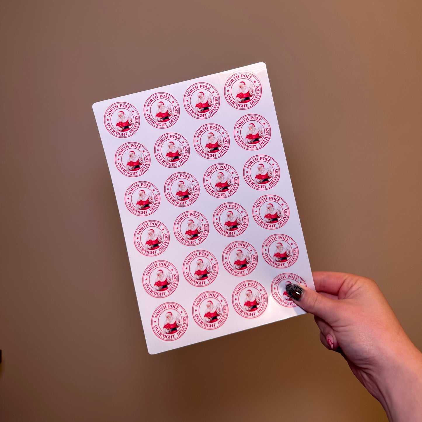 North Pole Overnight Delivery Sticker Sheet